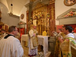 010-Chapitre_2025-Messe_pontificale_jeudi-Gricigliano_20250828_102538