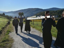 003-Olives-Gricigliano_2025-11-04_09-57-24_0186