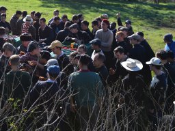 026-Olives-Gricigliano_2025-11-06_10-58-04_0426