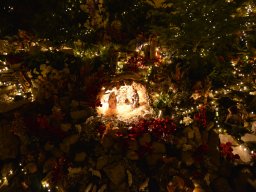 028-Noel-Gricigliano_2025-12-24_22-14-12_0114