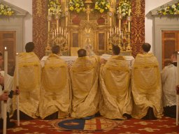 065-SaintFrancoisDeSales-Gricigliano_2026-01-29_20-14-44_0121